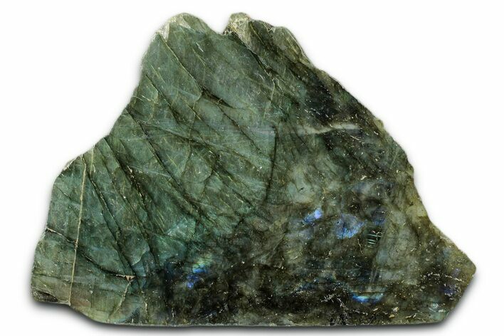 Wide, Single Side Polished Labradorite - Free-Standing #341829